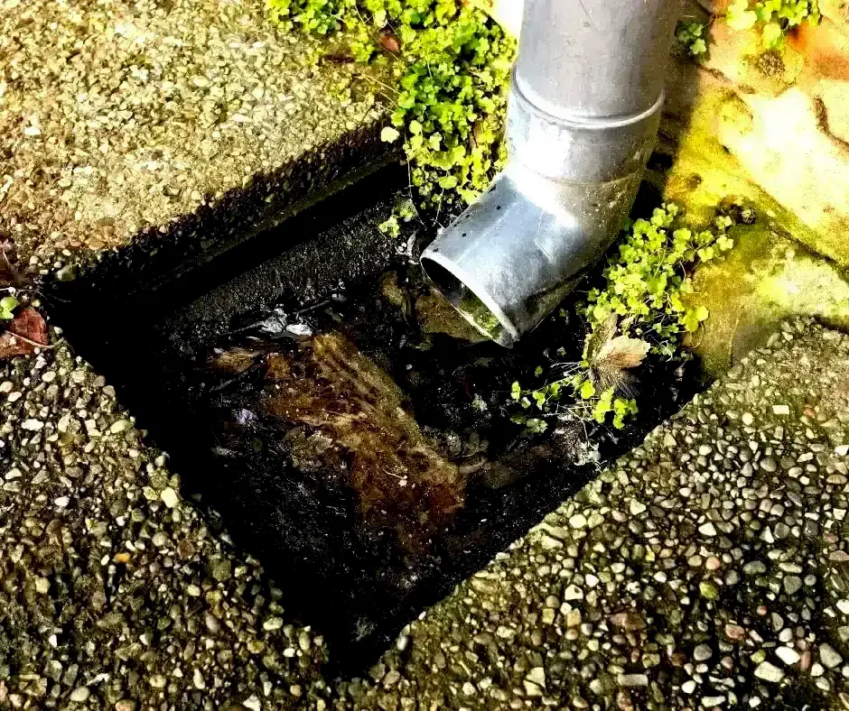 Detailed French Drain installation in Richmond, VA